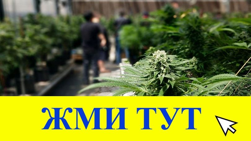 Купить наркотики в Талдоме